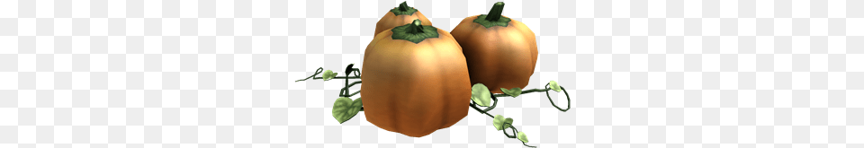 Portable Pumpkin Patch Wikia, Food, Plant, Produce, Vegetable Free Png