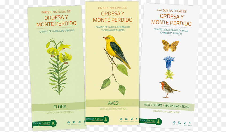 Portadas De Guas De Ordesa Y Monte Perdido Finch, Advertisement, Poster, Animal, Bird Free Png Download