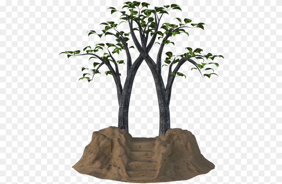 Portal Fantasy Trees Fantasy Trees, Soil, Potted Plant, Tree, Plant Png Image