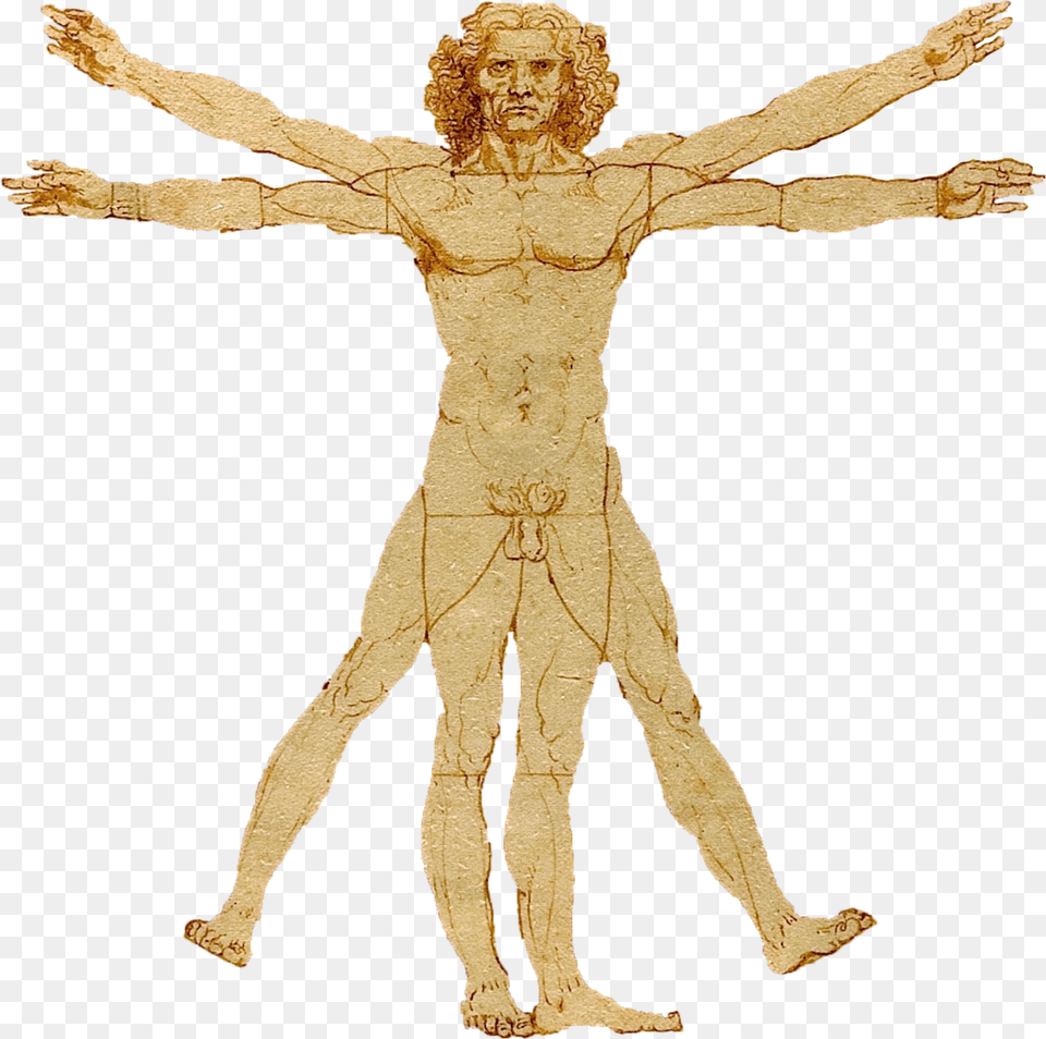 Portale Leonardo Da Vinci Homo Erectus De Leonardo Da Vinci, Cross, Person, Symbol, Face Free Png Download