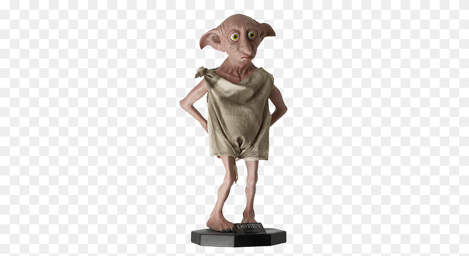 Portfolio, Adult, Alien, Female, Person Png