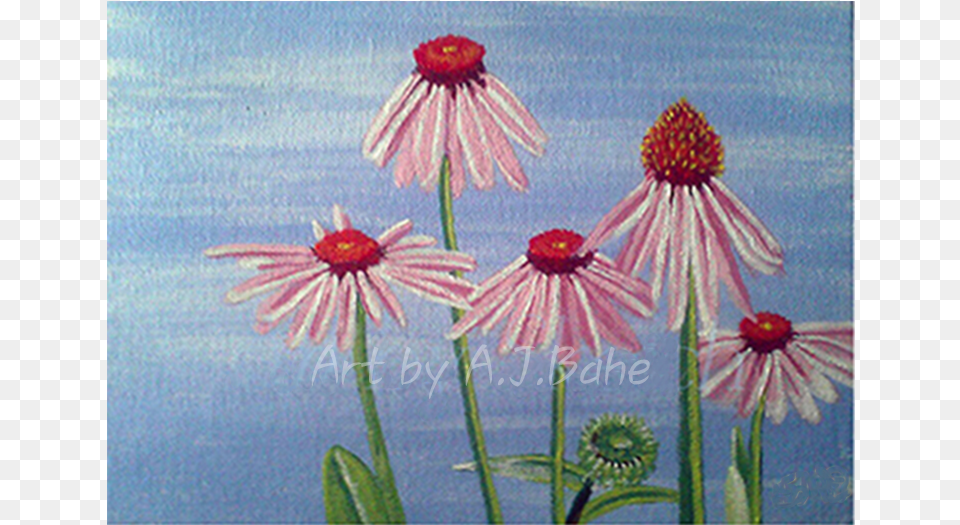 Portfolio A J Bahe Purple Coneflower, Art, Daisy, Flower, Painting Free Png