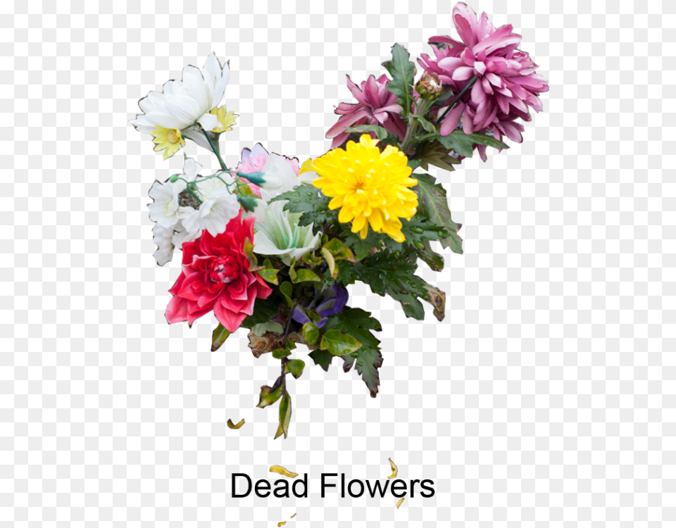Portfolio Bouquet, Flower, Flower Arrangement, Flower Bouquet, Plant Free Png
