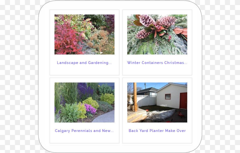 Portfolio Section Canna Lily, Art, Vegetation, Purple, Plant Free Transparent Png