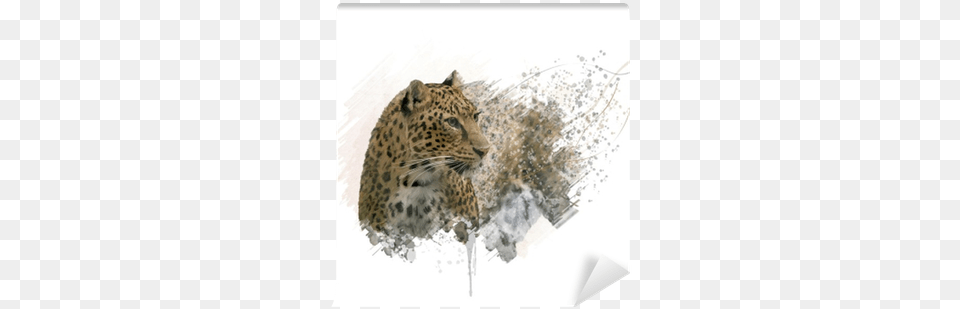 Portrait, Animal, Mammal, Panther, Wildlife Png Image