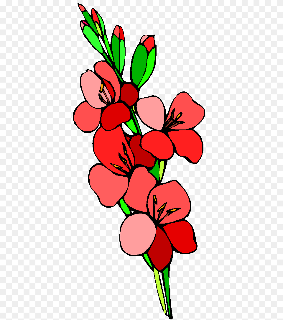 Portuguese Office Clipart, Flower, Plant, Geranium, Petal Png Image