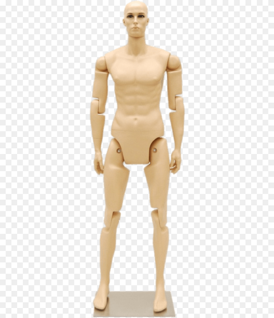 Posable Male Mannequin, Adult, Man, Person, Face Free Transparent Png