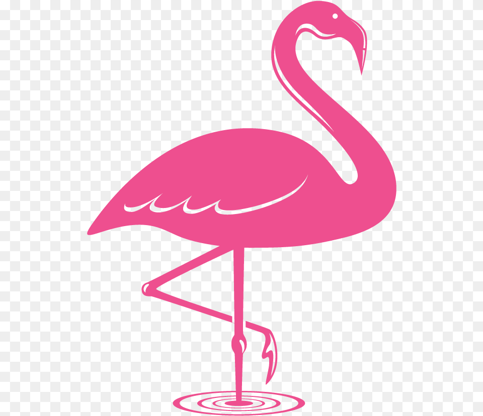 Pose Like A Flamingo Flamingo Icon Pink, Animal, Bird Free Png Download