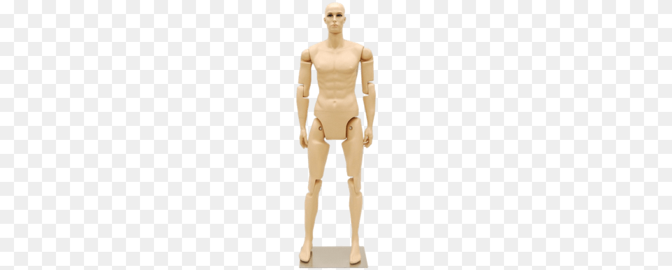 Poseable Adult Mannequin Uk, Male, Man, Person Free Png Download