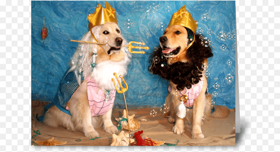 Poseidon And Triton Birthday Greeting Card Greek God Of The Sea, Clothing, Hat, Animal, Canine Free Png