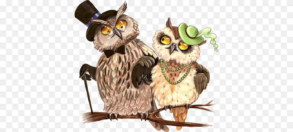 Posh Owl Couple Sweethome Mrs And Mr Owls Cross Stitch Kitsegypt, Animal, Bird, Beak Png Image