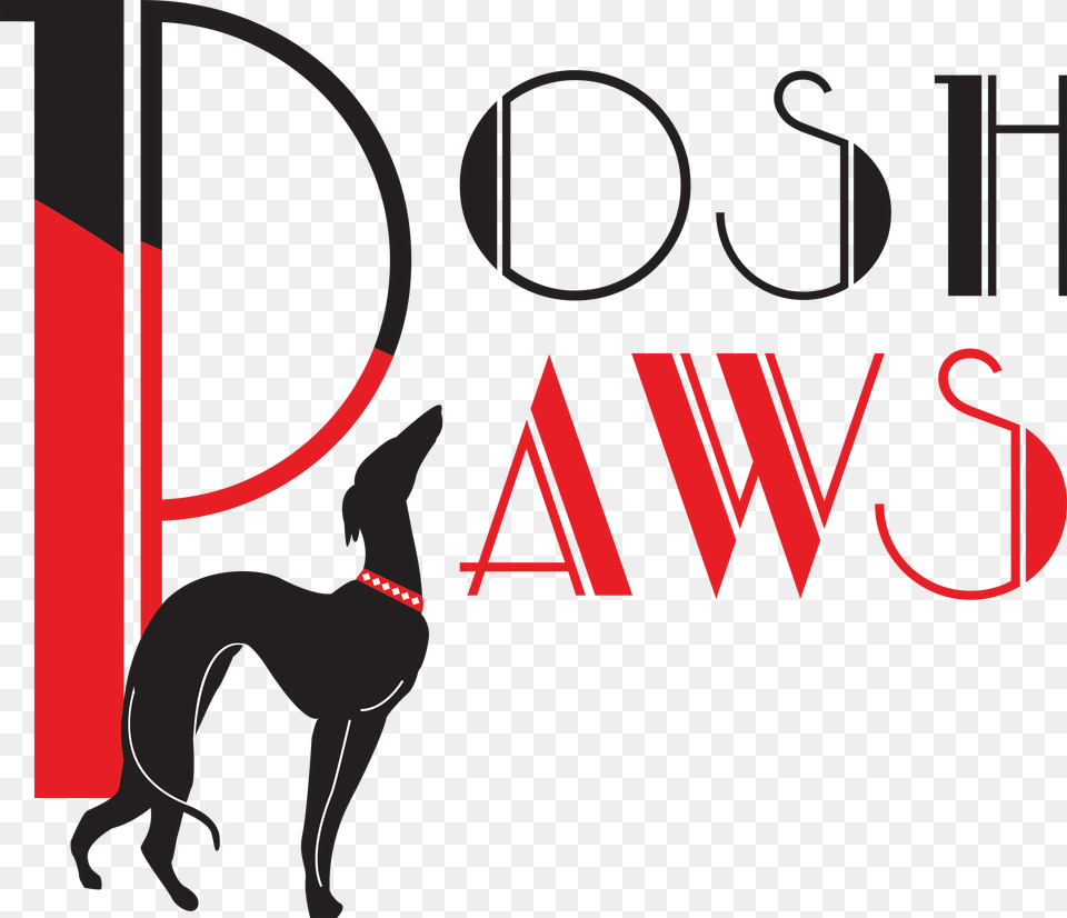 Posh Paws Logo Dog Catches Something, Publication, Book, Animal, Canine Png Image