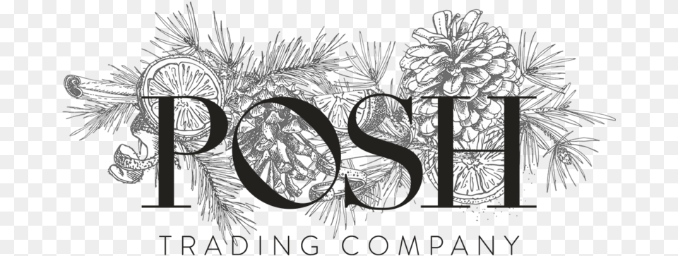 Posh Trading Company Illustration, Plant, Tree, Conifer, Art Free Png Download