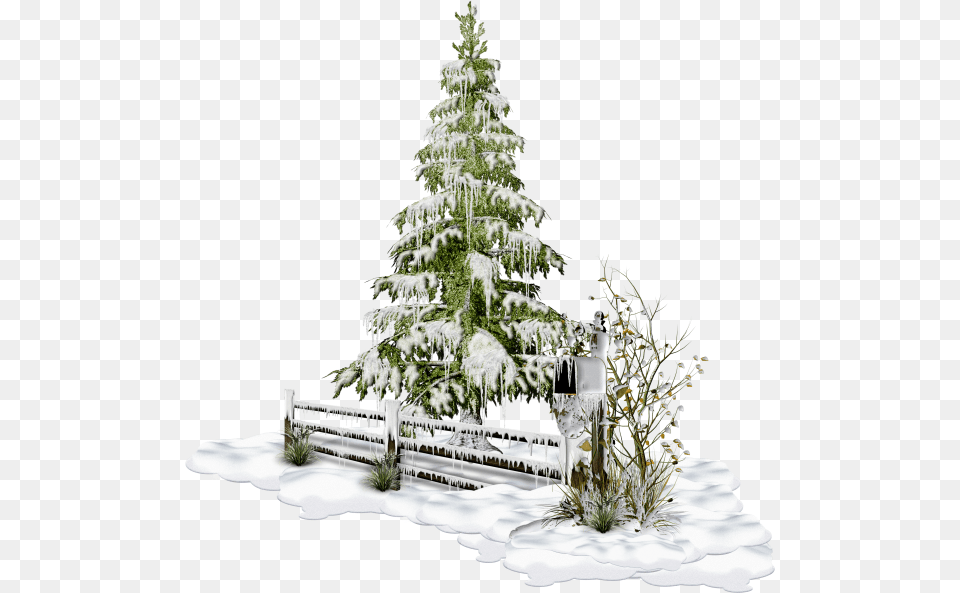 Posie Le Sapin De Noel Pernette Chaponnire, Fir, Plant, Tree, Ice Free Png Download