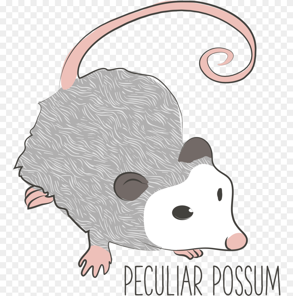 Possum 01 Rat, Animal, Mammal, Rodent Png Image