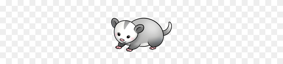 Possum, Animal, Mammal, Nature, Outdoors Free Transparent Png