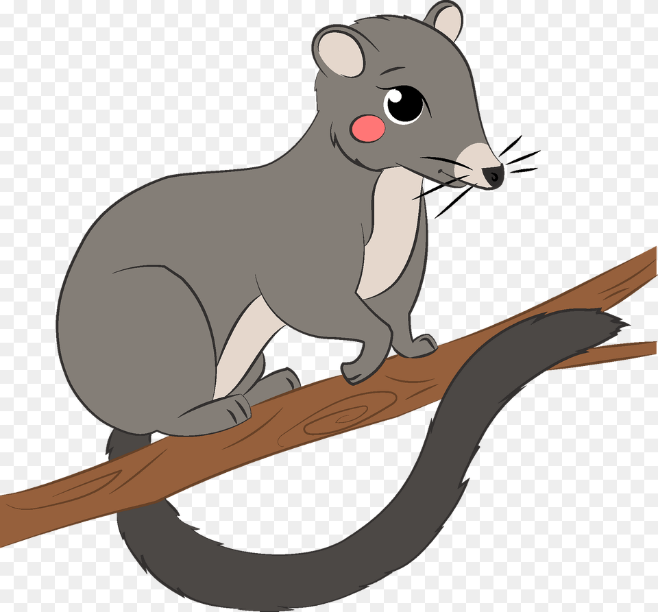 Possum Clipart, Animal, Mammal, Fish, Sea Life Free Transparent Png