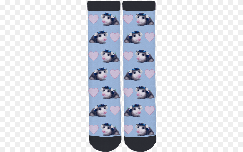 Possum Crew Socks Cartoon, Art, Collage, Accessories, Animal Png Image