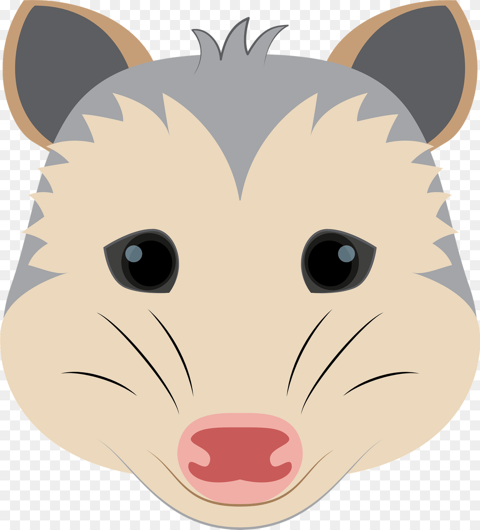 Possum Face Clipart, Animal, Mammal, Baby, Person Png Image