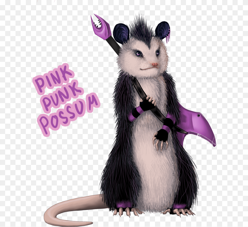 Possum Possum Punk, Animal, Mammal, Wildlife, Bird Free Png Download