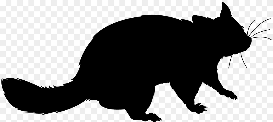 Possum Silhouette, Animal, Mammal, Cat, Pet Png