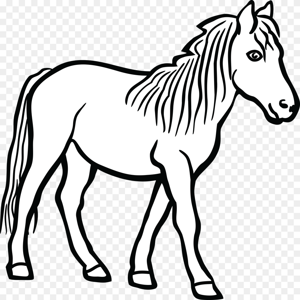 Possum Silhouette Clip Art, Animal, Mammal, Horse, Colt Horse Free Png Download