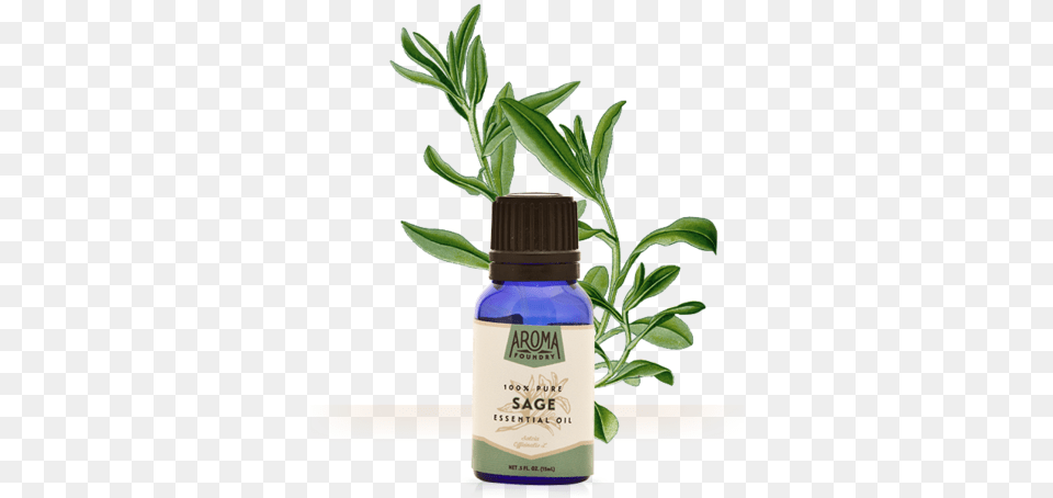 Post Aroma Foundry Sage Essential Oil 15 Ml 100 Pure, Herbal, Herbs, Leaf, Plant Free Png Download