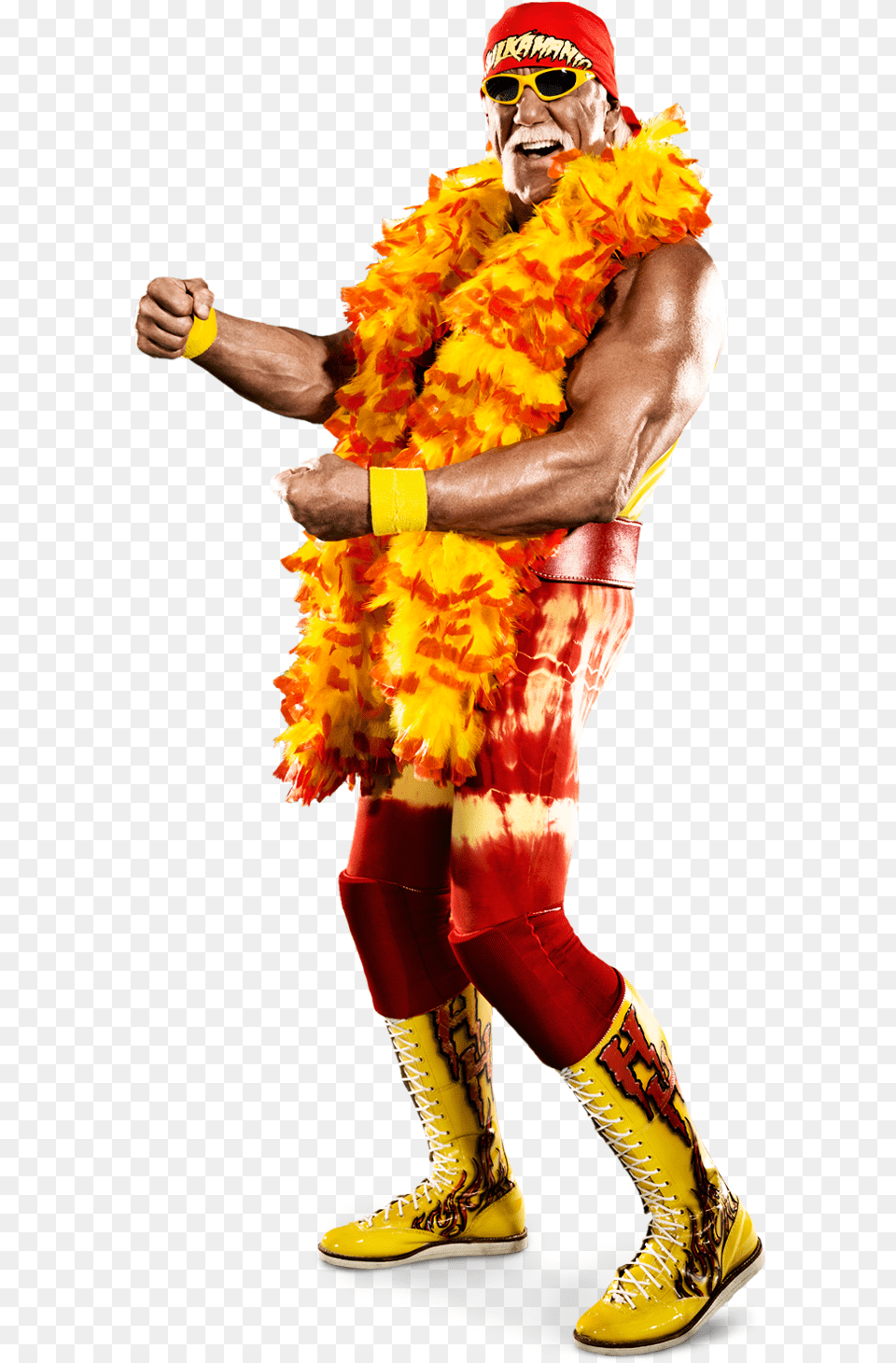 Post By Crappler El 0 M On Mar 13 2014 At Hulk Hogan Pro Wrestling, Accessories, Sunglasses, Person, Woman Free Png