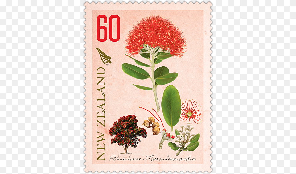 Post Card Stamp For New Zealand, Herbal, Herbs, Plant, Postage Stamp Png Image