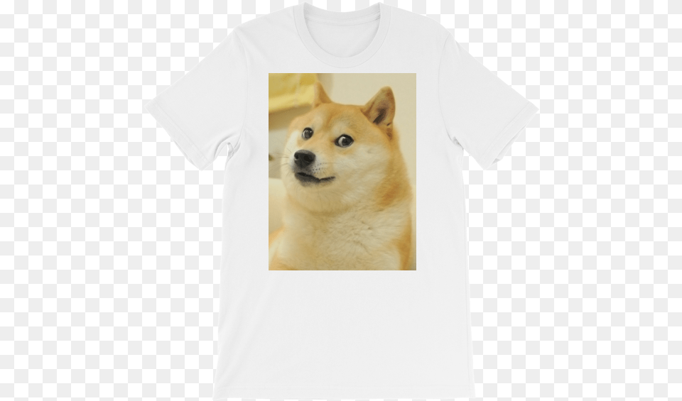 Post Ironic Doge Memes, Clothing, T-shirt, Animal, Canine Png Image