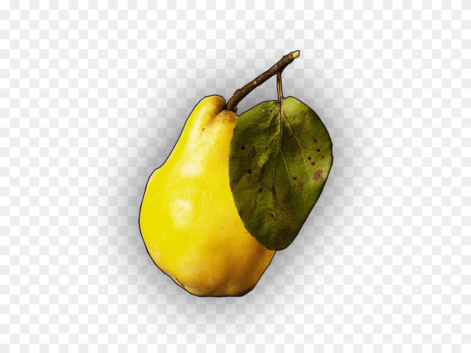 Post Malone, Food, Fruit, Plant, Produce Png Image
