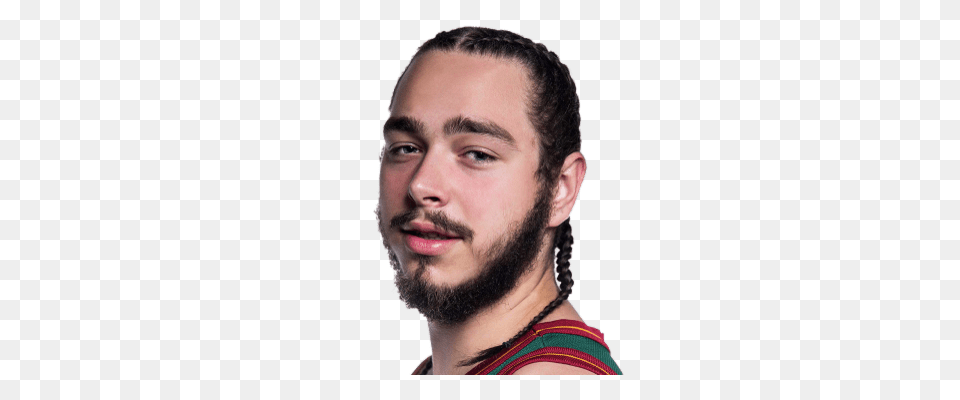 Post Malone Without Tattoos, Braid, Face, Hair, Head Png