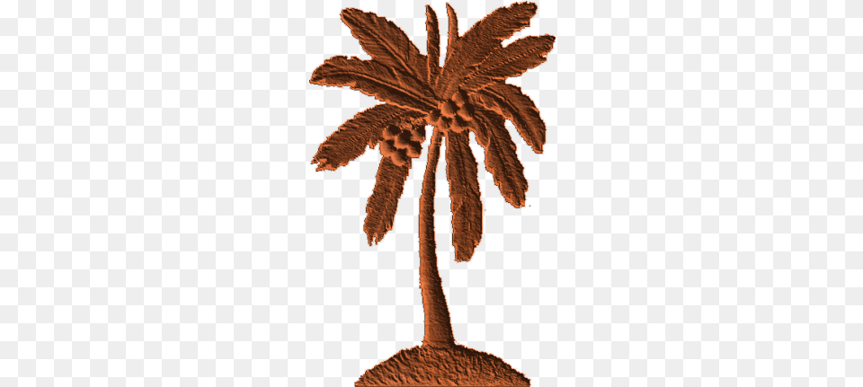 Post Oak, Plant, Tree, Leaf, Palm Tree Free Png