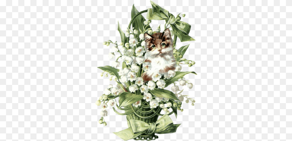 Post Par Nono Et Coco Clipart Lily Of The Valley Vintage, Plant, Pet, Mammal, Kitten Png