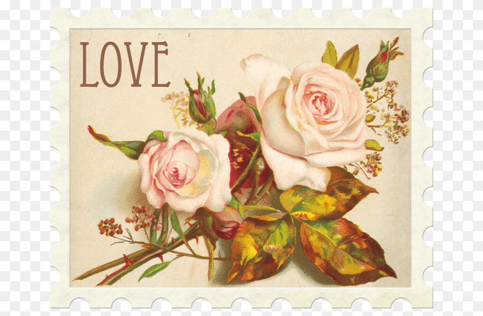 Postage Stamp, Flower, Plant, Rose, Postage Stamp Free Transparent Png