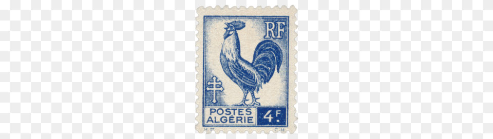 Postage Stamp, Postage Stamp, Animal, Bird Free Png Download