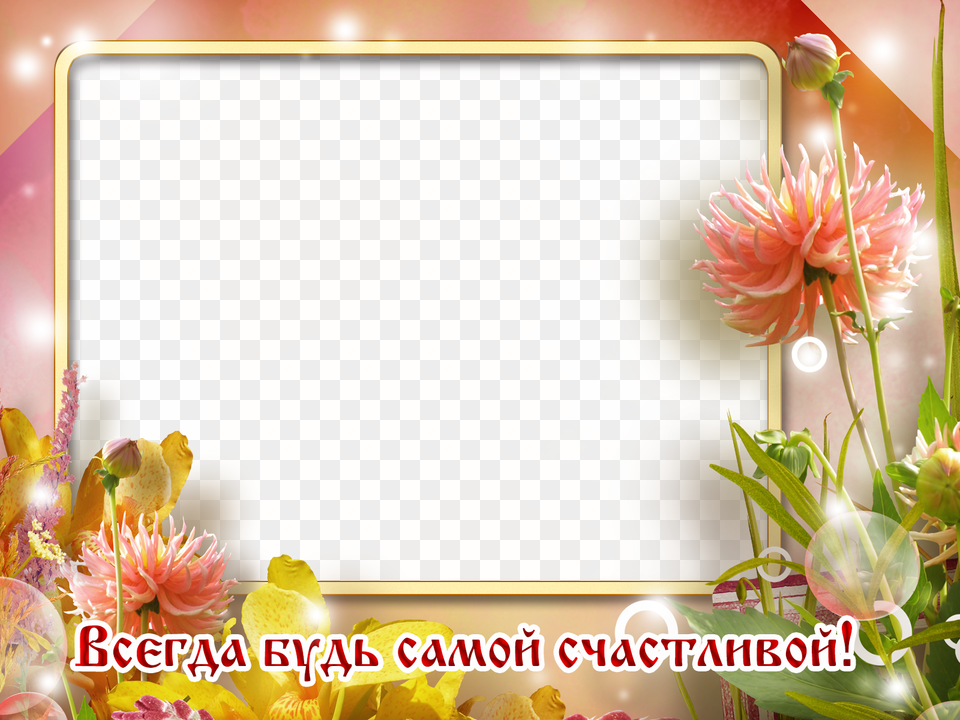 Postcard, Dahlia, Flower, Plant, Flower Arrangement Png