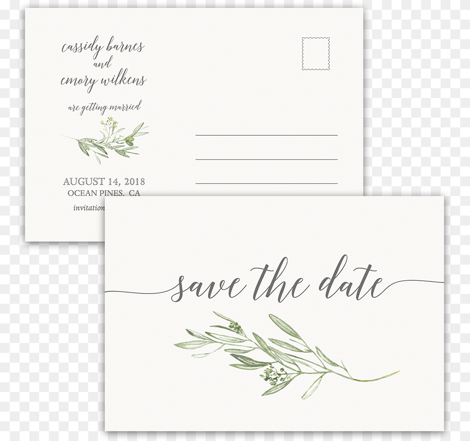 Postcard, Envelope, Mail, Text, Plant Free Png Download