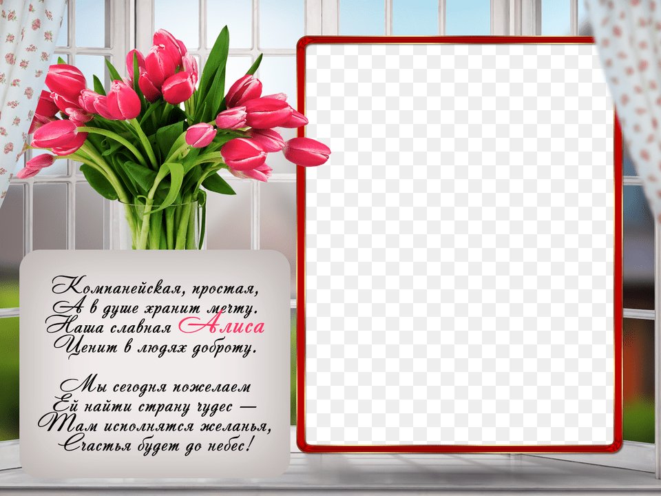 Postcard, Flower, Flower Arrangement, Flower Bouquet, Plant Free Png