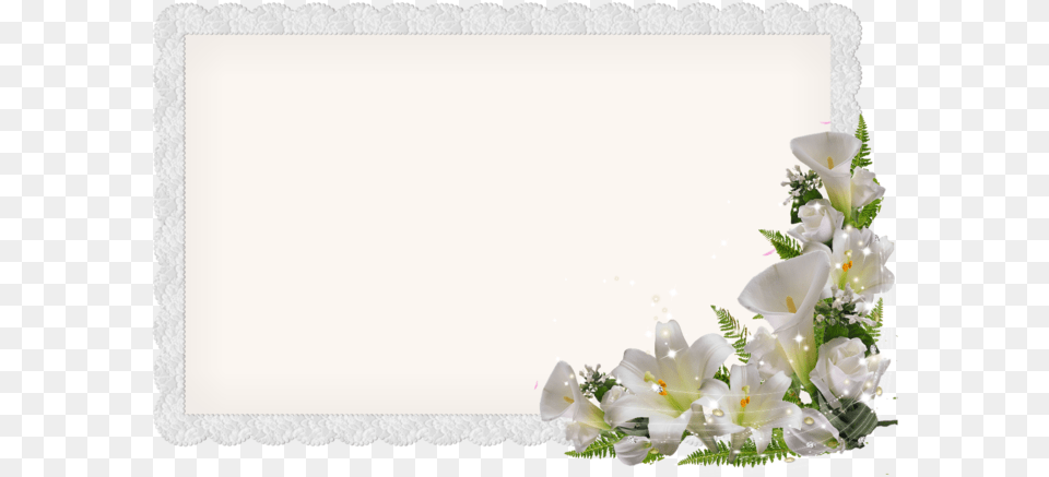 Postcard Easter Lily, Flower, Flower Arrangement, Flower Bouquet, Petal Free Transparent Png