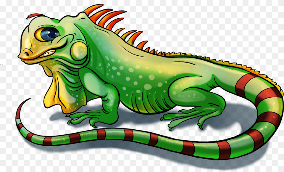 Posted By Chandrashekhar Sawarkar At Green Iguana, Animal, Lizard, Reptile, Dinosaur Free Transparent Png