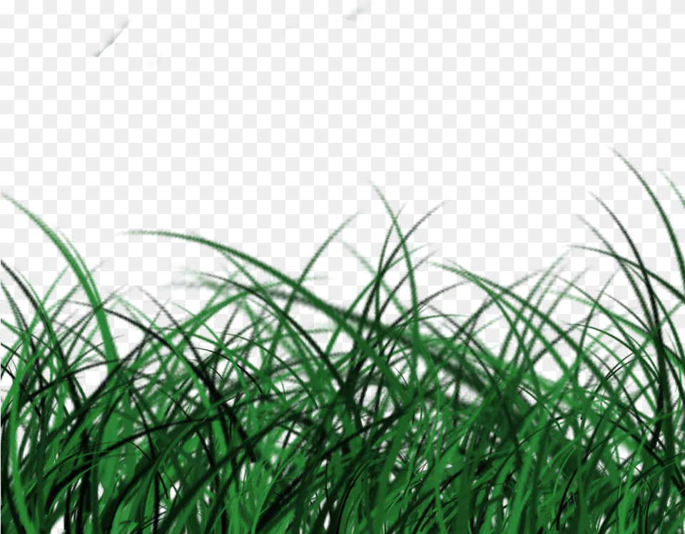 Posted By Jurassic Kart At Sweet Grass, Green, Plant, Vegetation, Aquatic Free Transparent Png