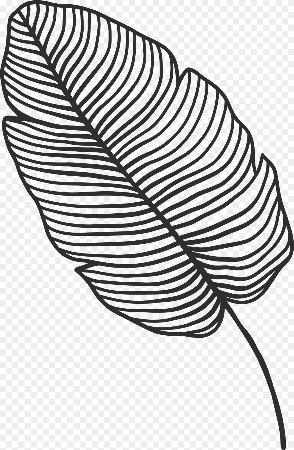 Posted In Sin Categora Sketch, Leaf, Plant, Art, Animal Free Png