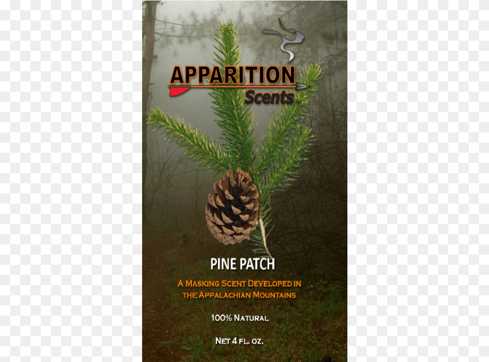 Poster, Advertisement, Plant, Tree, Conifer Free Transparent Png