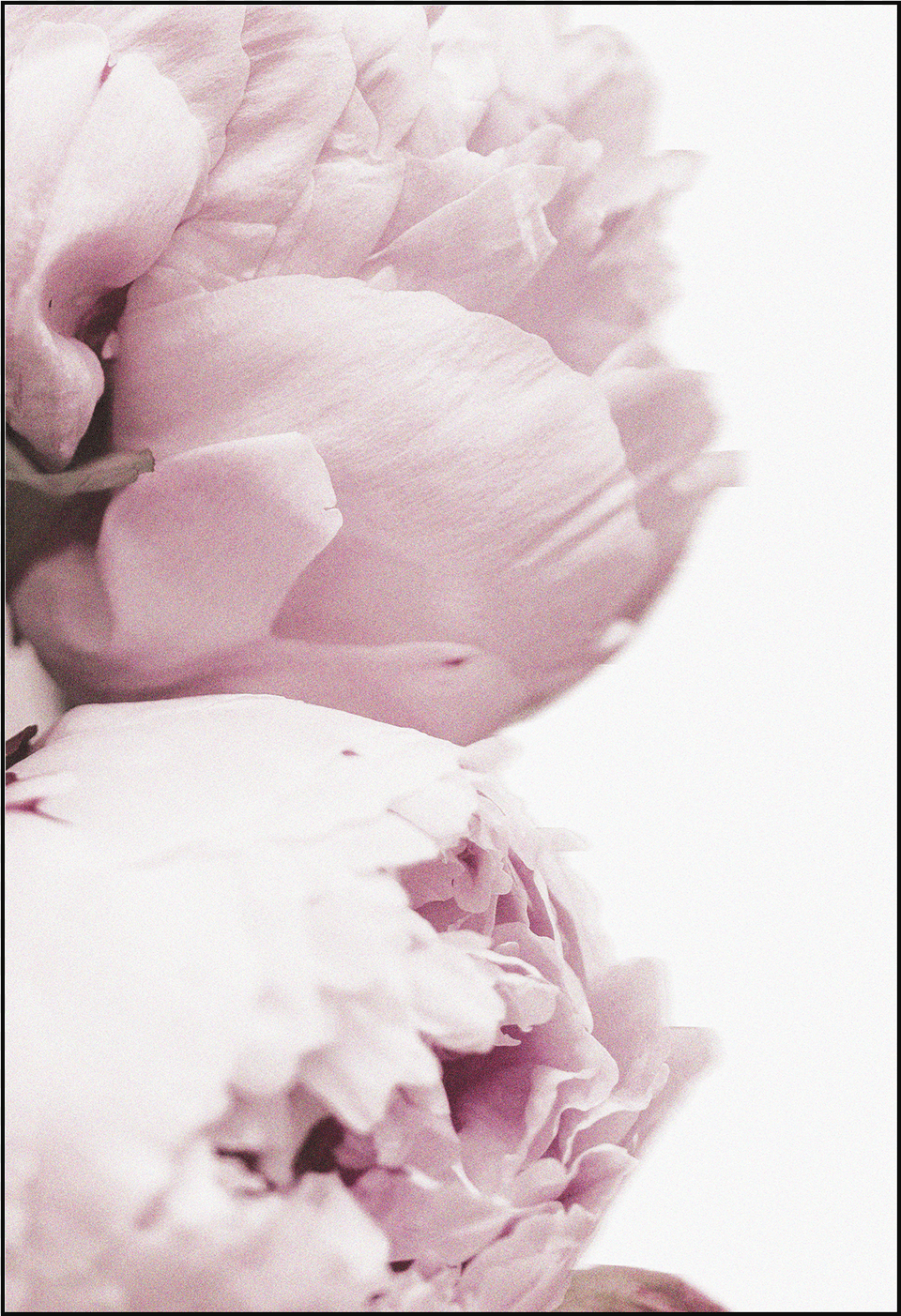 Poster Free Png Download
