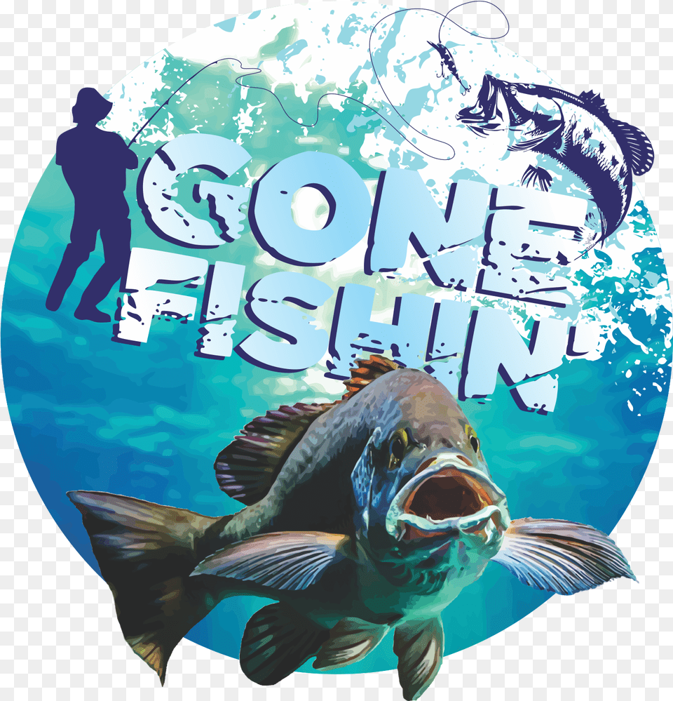 Poster, Animal, Sea Life, Fish, Adult Free Png Download
