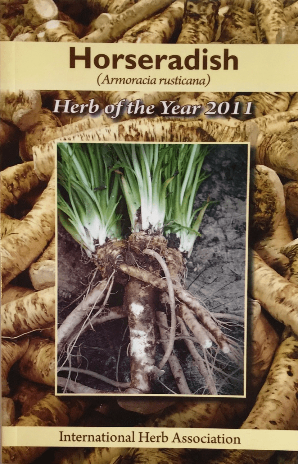 Poster, Plant, Root, Soil, Food Free Transparent Png