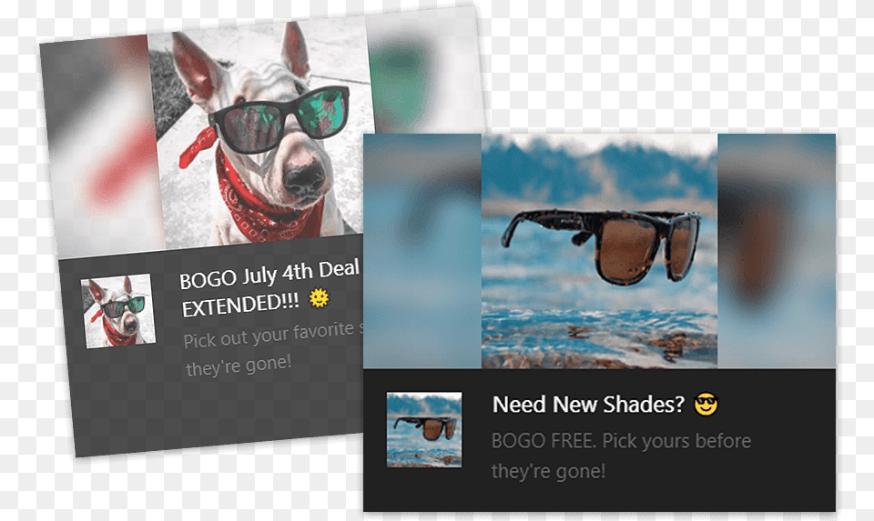 Poster, Accessories, Sunglasses, Advertisement, Pet Free Transparent Png