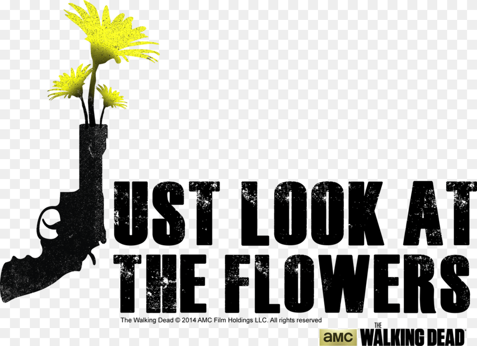 Poster, Flower, Plant, Daffodil, Petal Free Png