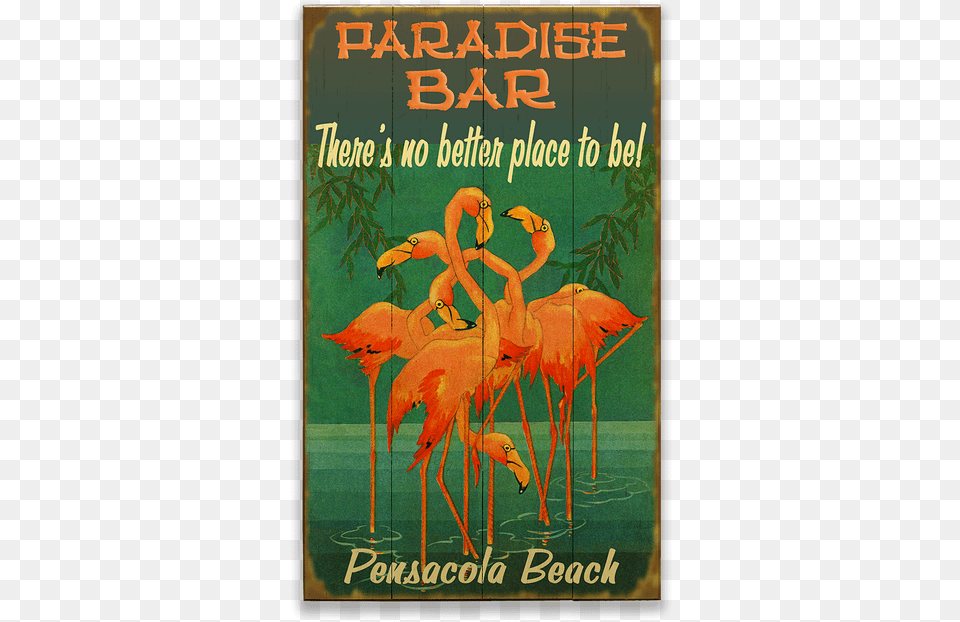 Poster, Advertisement, Animal, Bird, Flamingo Png Image